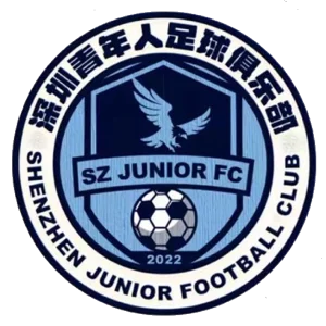 深圳青年人